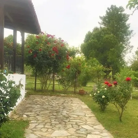Katerina's *