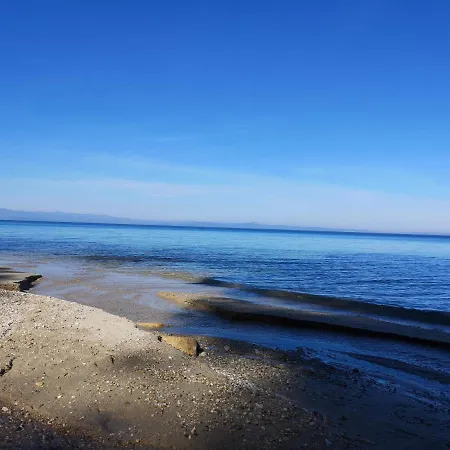 Katerina's * Криопиги