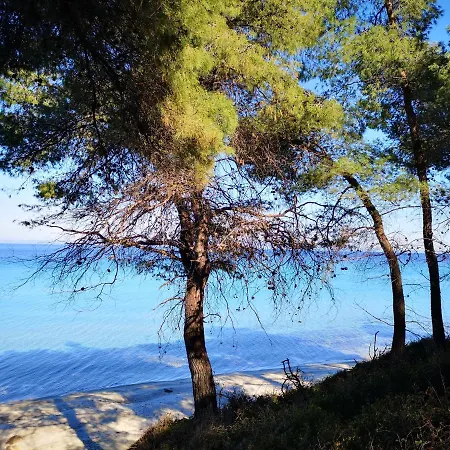 Дом отдыха Katerina's